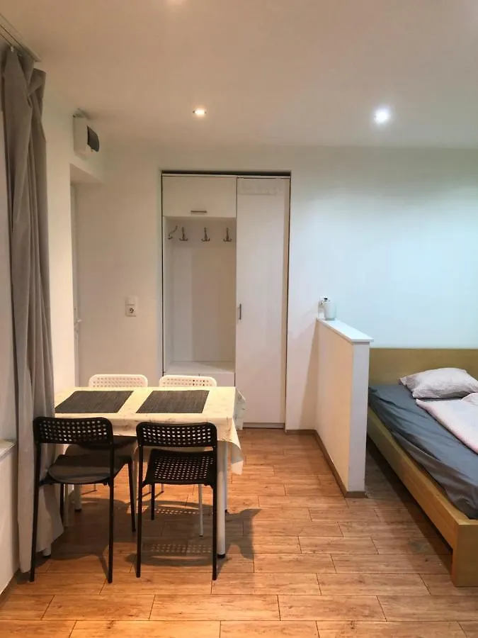 Kert Kapcsolatos Lakas Privat Parkoloval Apartment Budapest Hungary